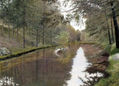 Aguas mansas del Tormes