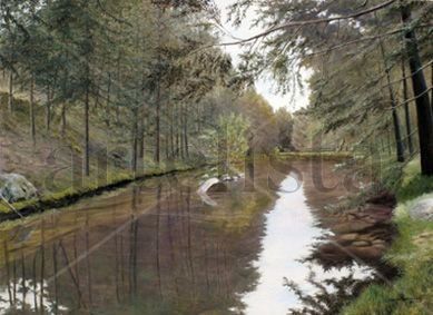 Aguas mansas del Tormes 