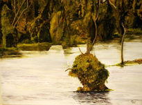 "Bañado al Fondo"