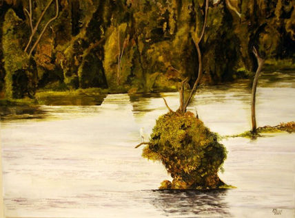 "Bañado al Fondo"
