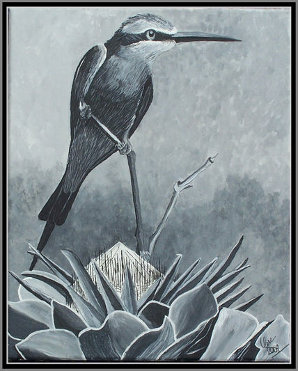 Colibrí