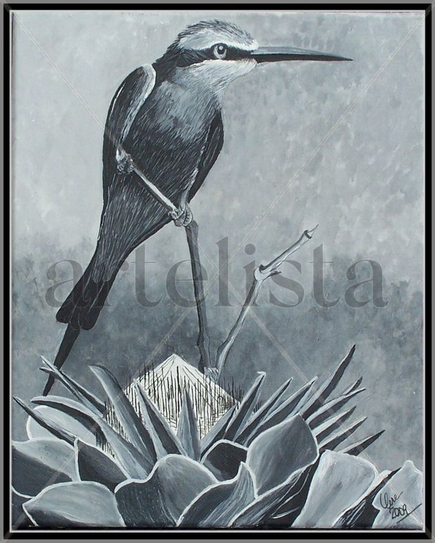Colibrí
