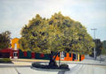 "El Arbol frente a Cabildo"