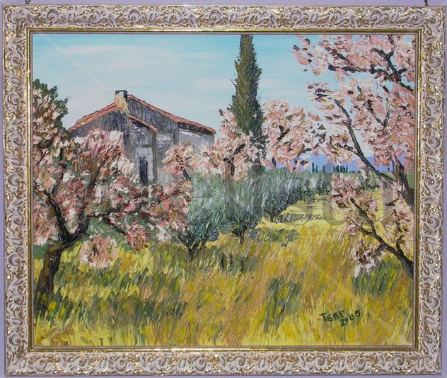 Campo de Almendros