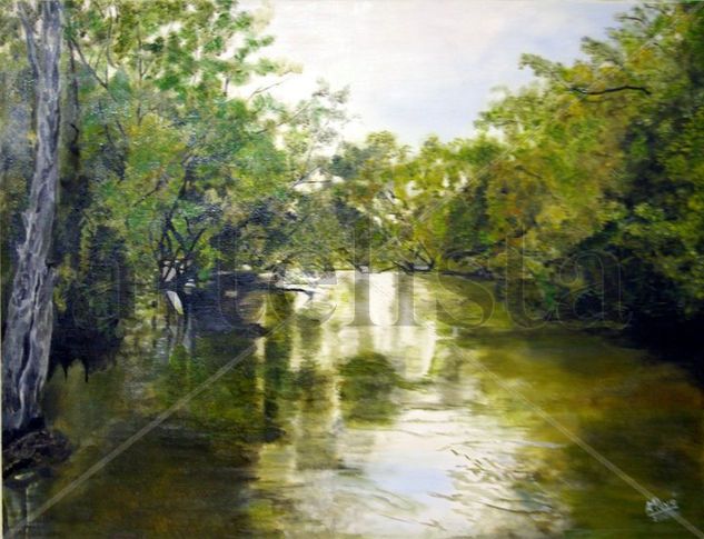 "Riacho Formoseño" Oil Canvas Landscaping