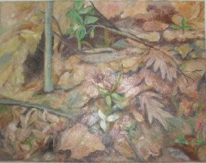 “Snow Trillium” (nombre en inglés de la flor de Ontario) Oil Canvas Landscaping