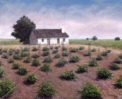 Viñedos de la Mancha 