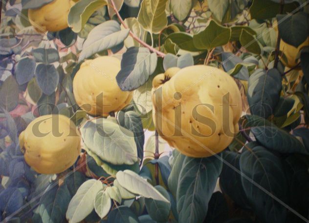 membrillos 73x60 oleo