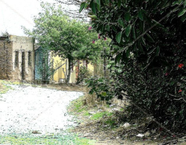 Paisaje Rural