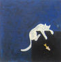 cielo felino