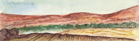 Campo de Flaresi y...