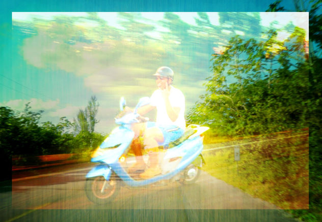 Hormiga motorizada