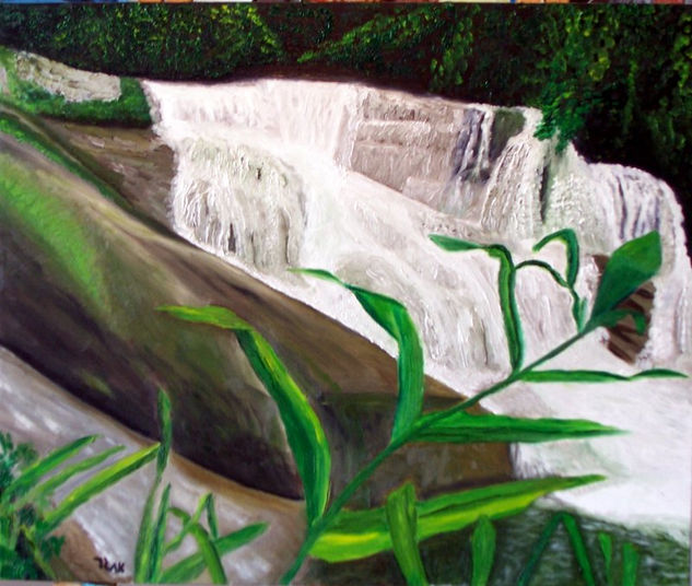 Waterfall of Pedra Branca Oil Canvas Landscaping