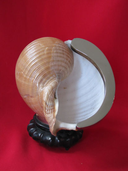 CARACOL Metal Figurative