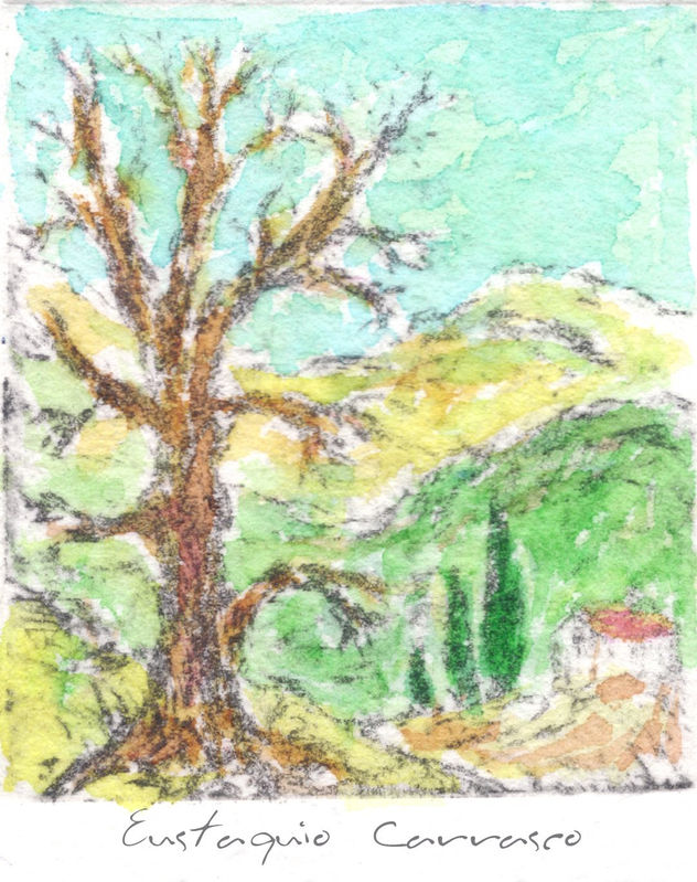 Minúsculo paisaje, (Tiny landscape)