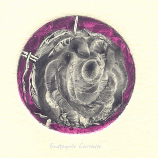 Masa evolutiva, (Evolutionary mass)