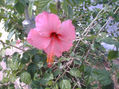 BELLA Y ROSA - FOTOS 10 COLORADO.