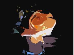 rosa pictorica