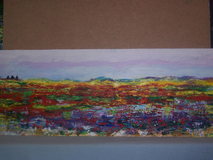 Campos de amapolas...