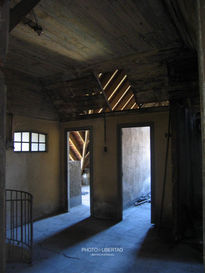 Interior 2