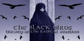 THE BLACK BIRDS (Istanbul)