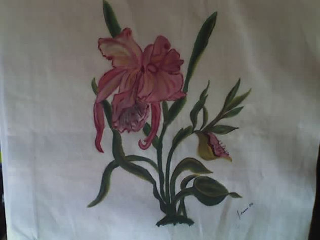 orquideas