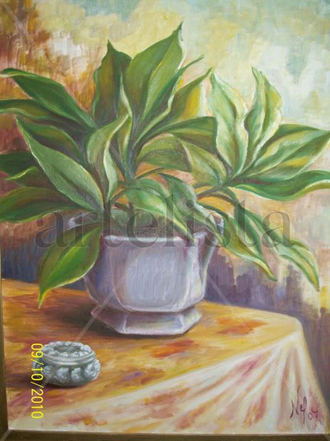 Magnolias