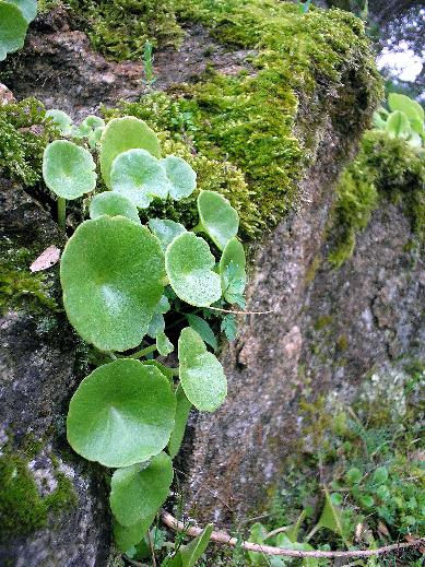 Naturaleza 2