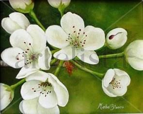 Flor de Ciruelo