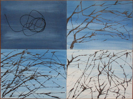 A serie: evolucion