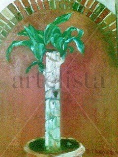 Arbol de Brasil