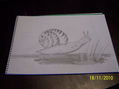 CARACOL