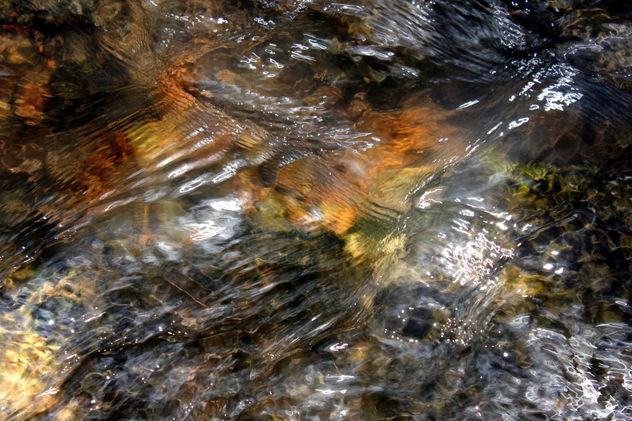 Pintagua 5T