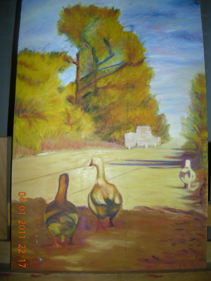 Patos de mar azul