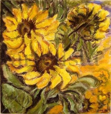 Sunflowers Pastel Papel Paisaje