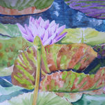 FLORES thumbnail 2