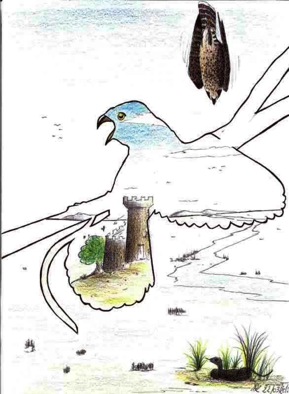 Studio d'autore, Pasquale Mastrogiacomo disegno 2010