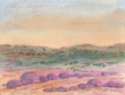 Paisaje de Ostur