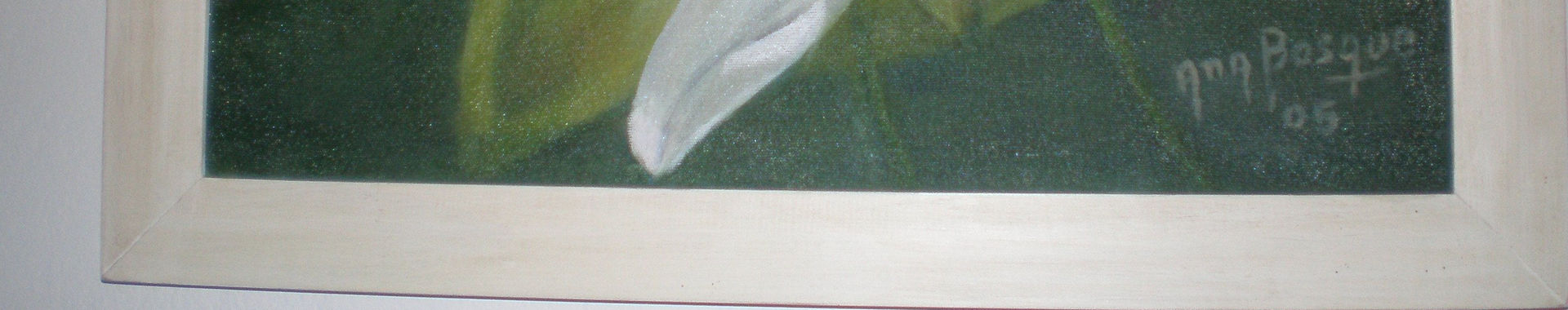 Imagen de portada