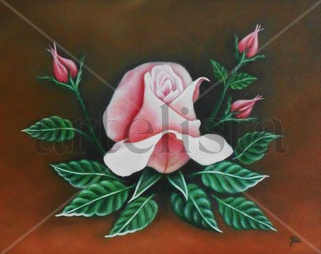 Rosa
