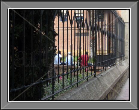 Esperando su futuro