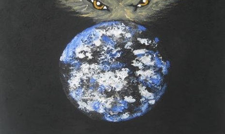 Universo Sólido