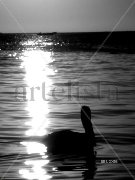 Sin titulo