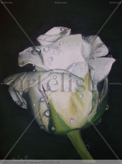 Frescura Oil Canvas Floral Painting