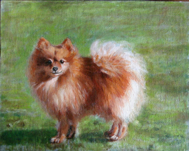 Perro, Pomerania, cuerpo entero,mascotas,peludos,animales,razas,caza,cuadros,paisajes,pintura,oleos,vintaje,retro,