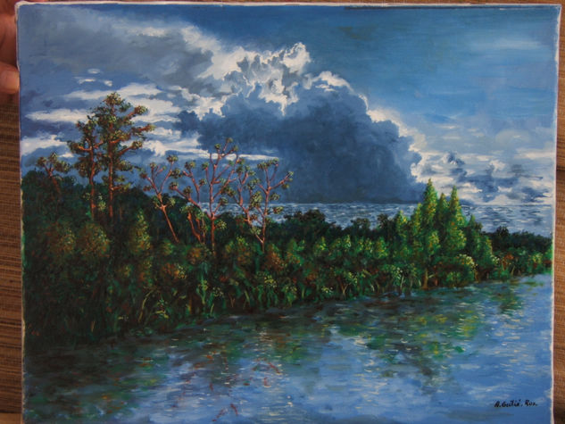 Paisaje inundado Oil Canvas Landscaping