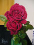 Rosas