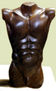 torso masculino