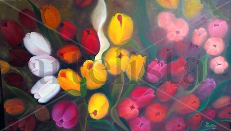 Mis tulipanes ii