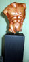 torso masculino2